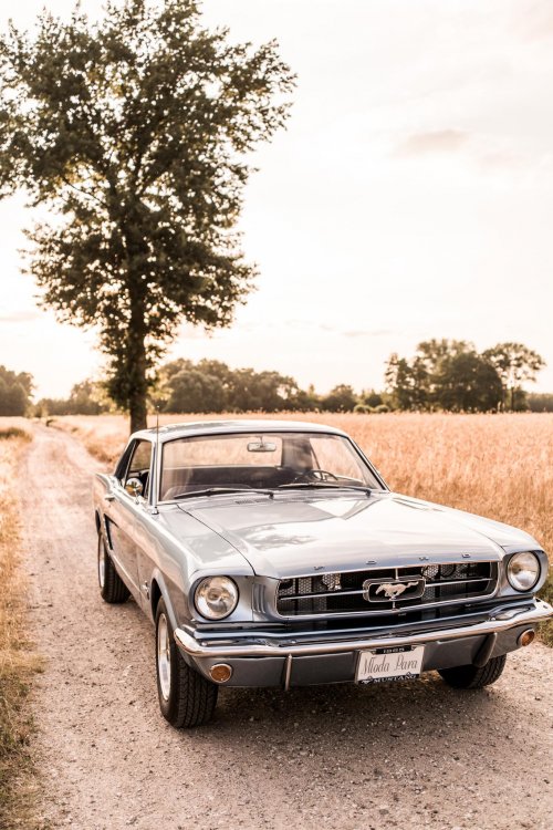 Auto do ślubu Ford Mustang 1965
