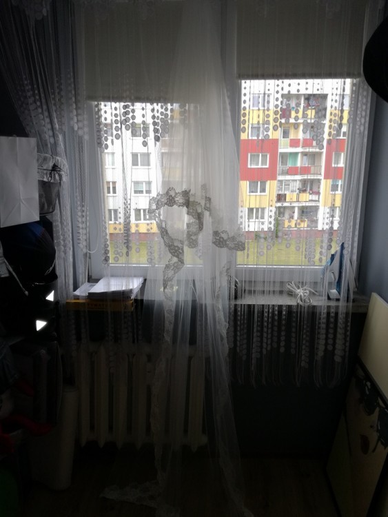 Ponad 2,7 m welon obrobiony koronką!