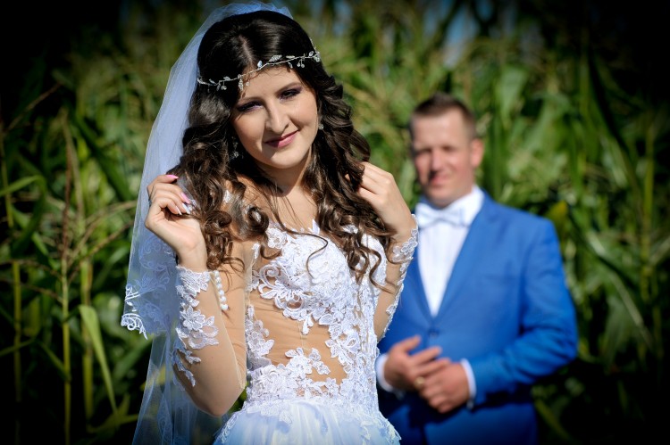 suknia ślubna modne prześwity, Nowa kolekcja