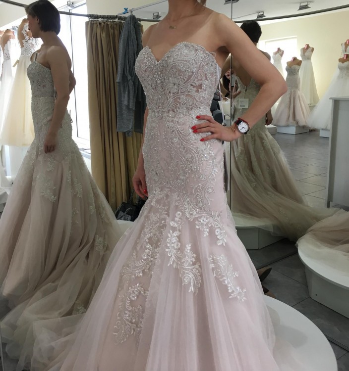 Stella York 6541 2024 dvos