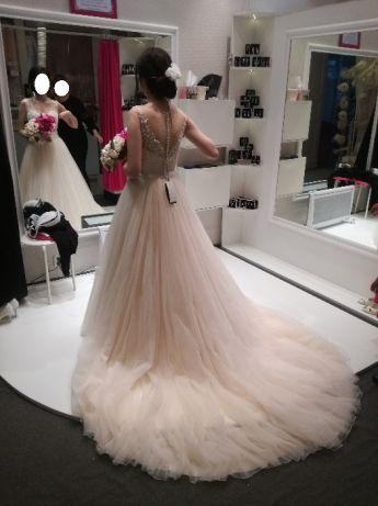 JUSTIN ALEXANDER 8886