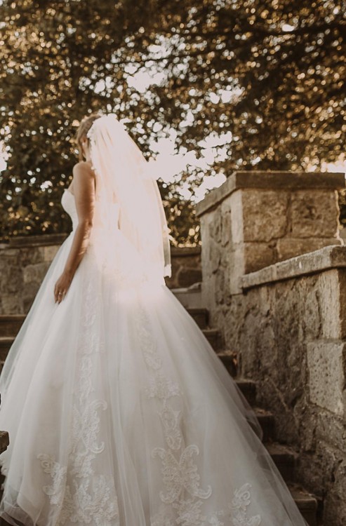 stella york 6461