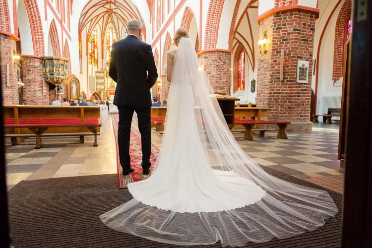 Pronovias danka online