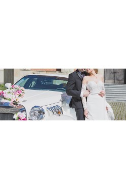 Suknia ślubna PRONOVIAS model dracma Barcelona